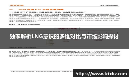 独家解析LNG意识的多维对比与市场影响探讨